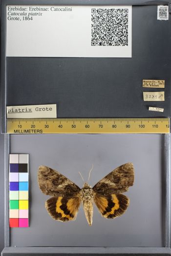 Media type: image;   Entomology 640345